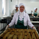 Производство продукции Organic – общий интерес крымских аграриев и турбизнеса